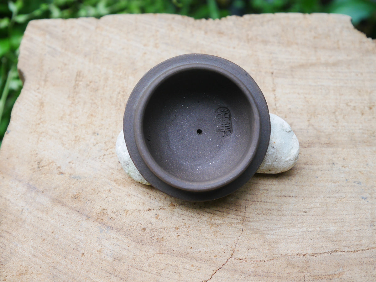 Zini Teapot