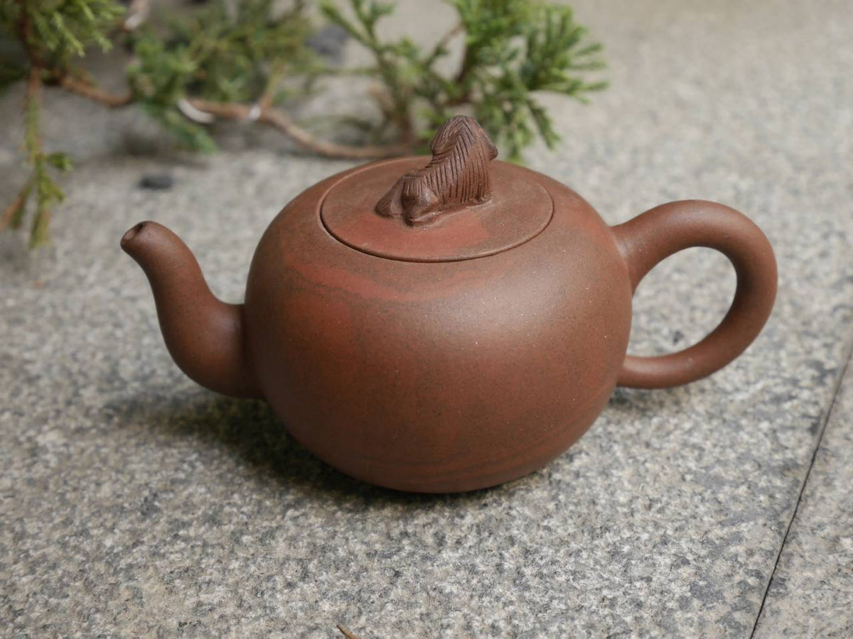 Zini Teapot