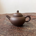 Zini Shuiping