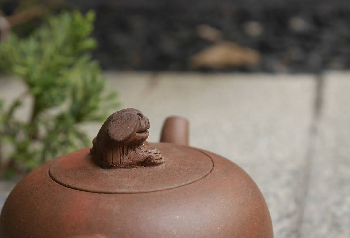 Zini Teapot