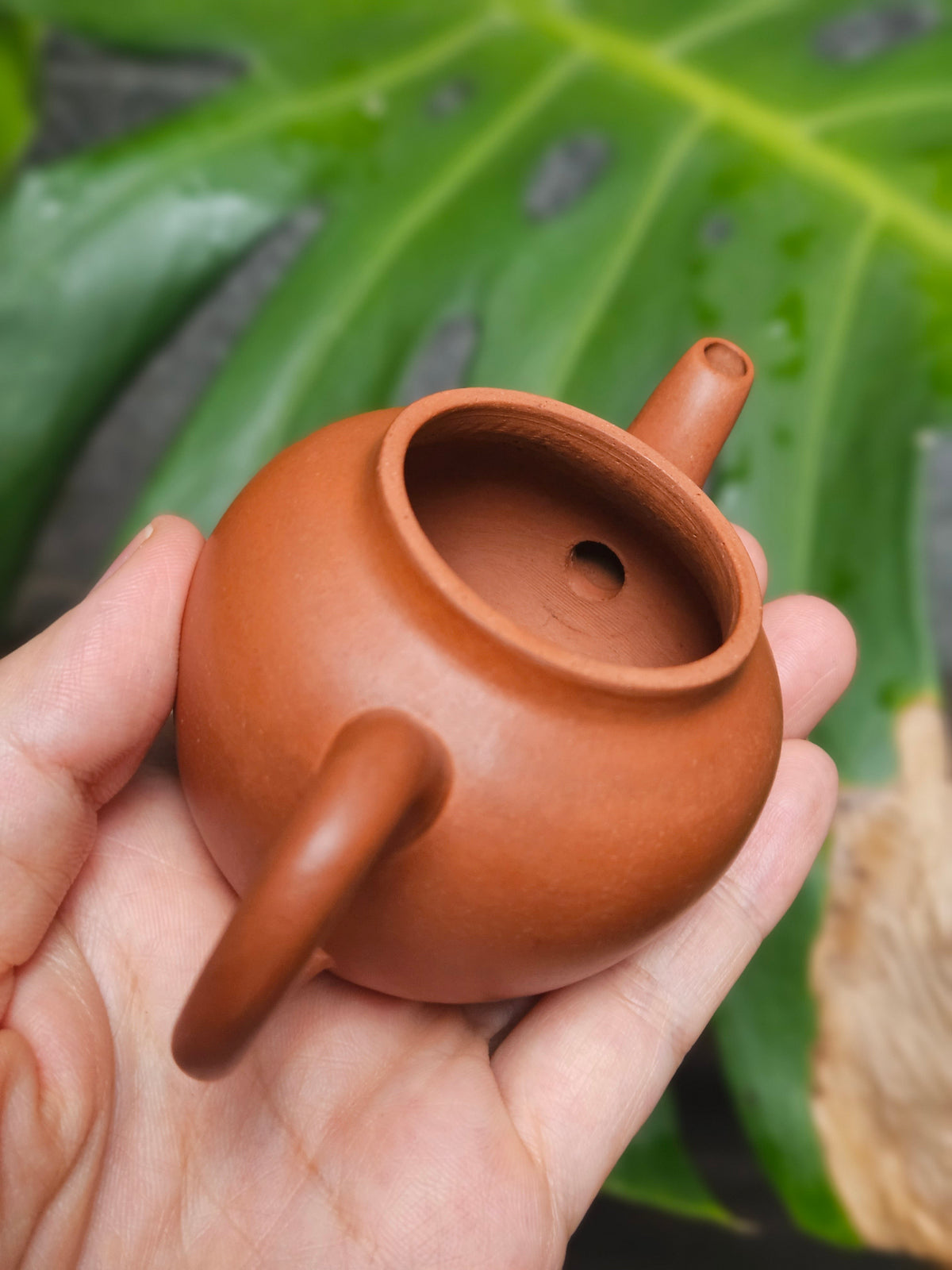 Hongni Teapot