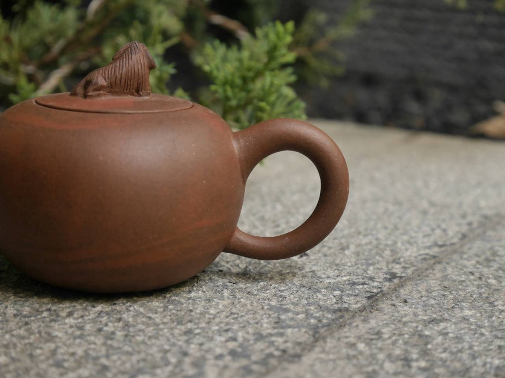 Zini Teapot