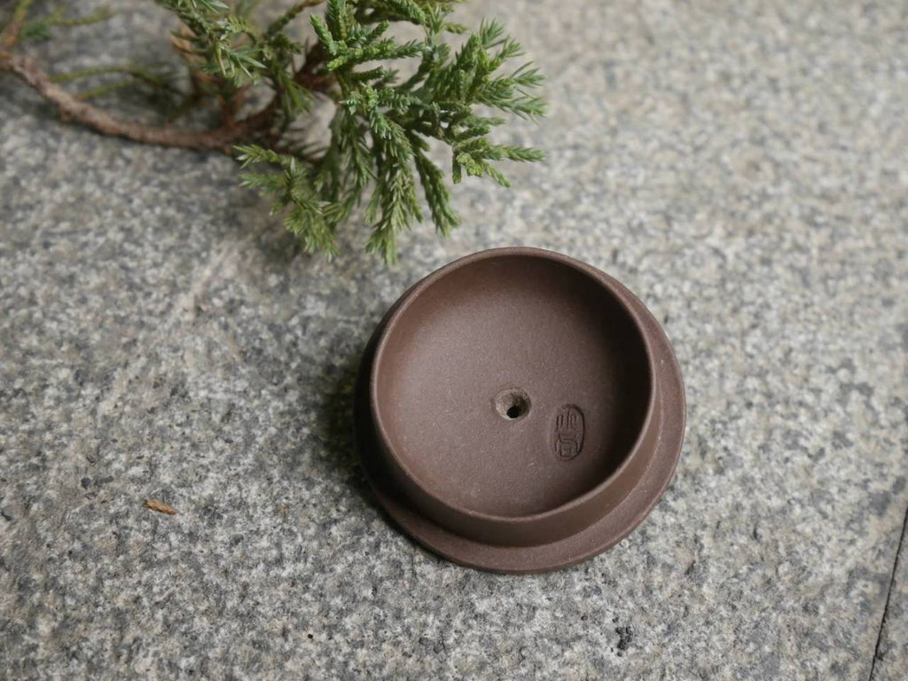 Zini Teapot