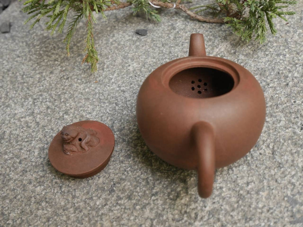 Zini Teapot