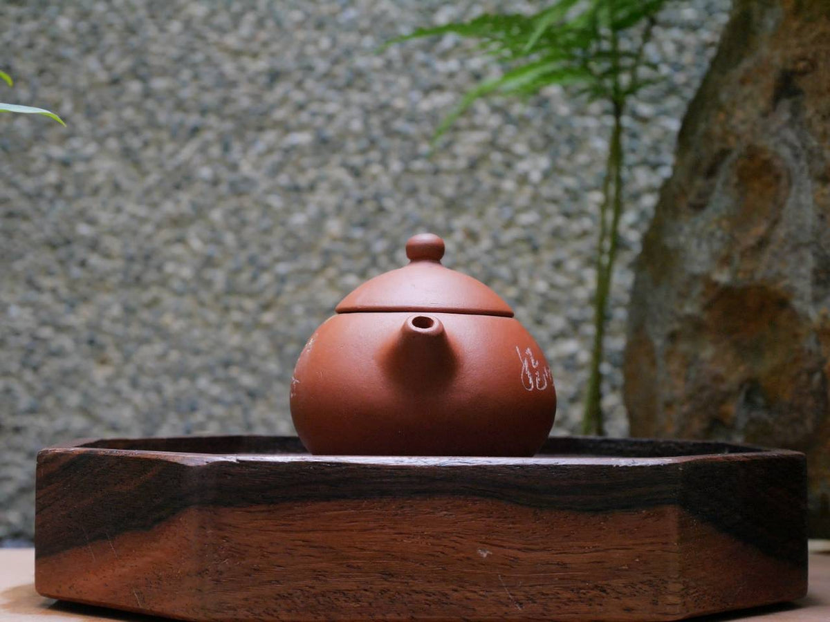 Xishi Teapot