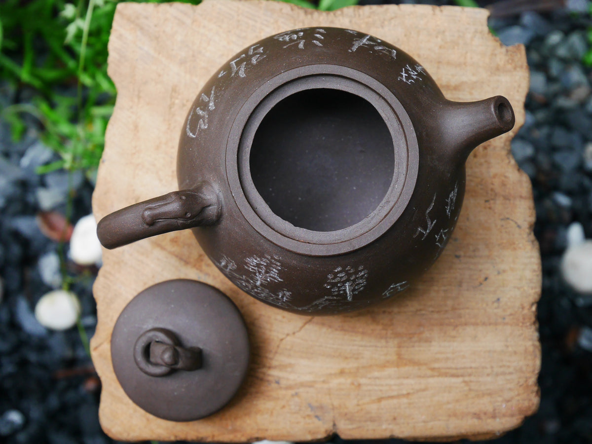 Zini Teapot