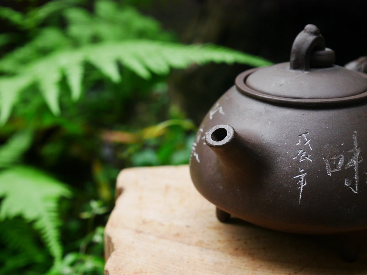 Zini Teapot