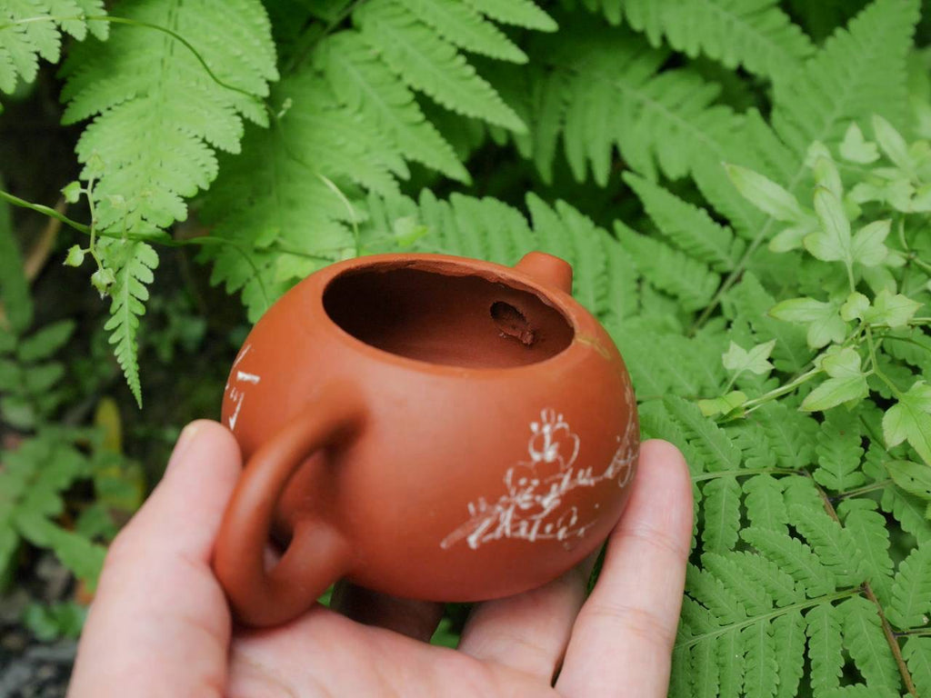 Xishi Teapot