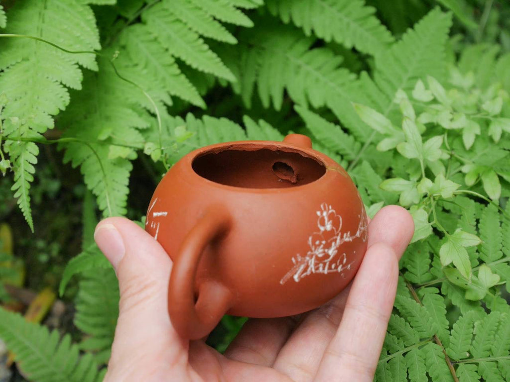 Xishi Teapot