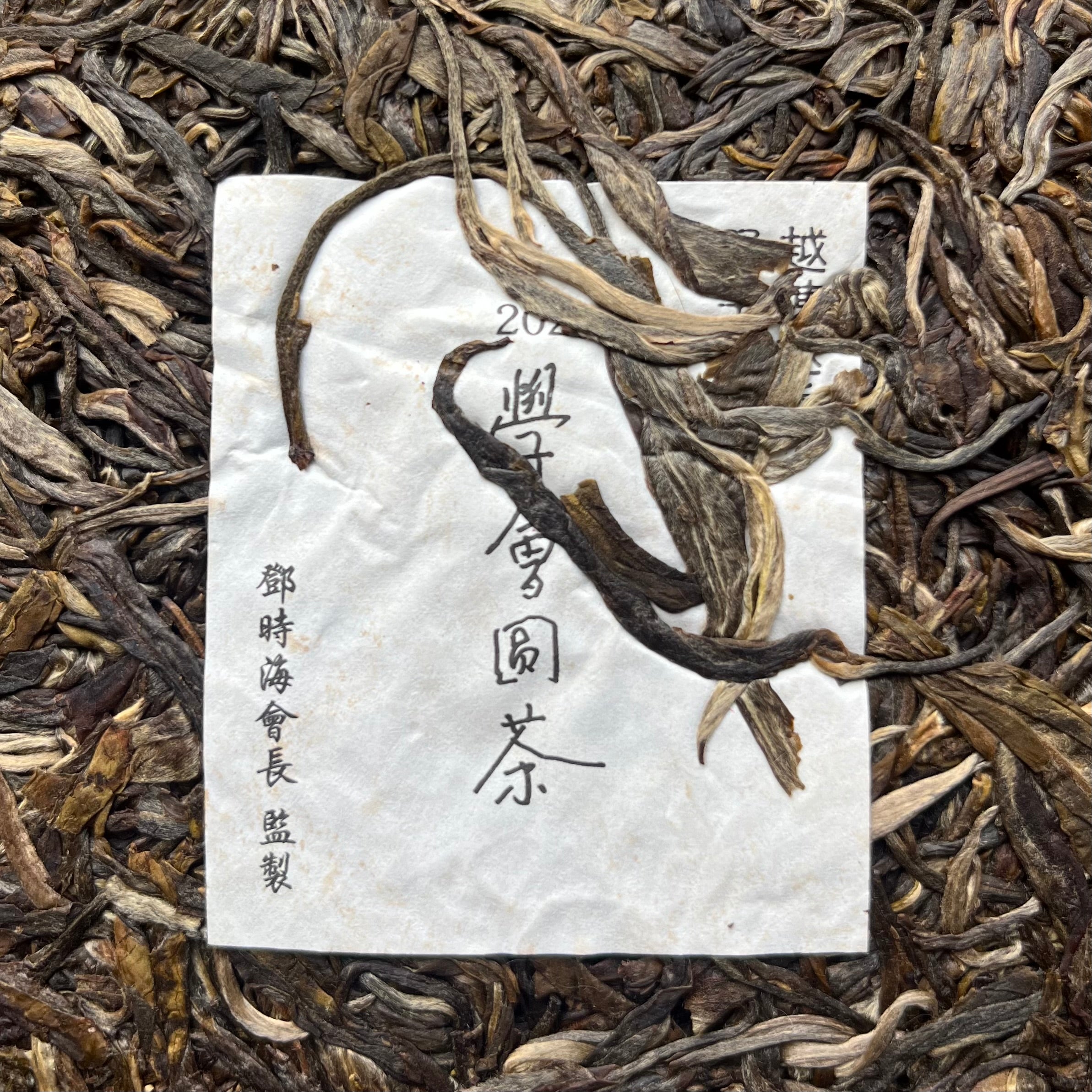 2025 Deng Shi Hai Puer Research Institute Banzhang Sheng Puer
